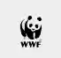  WWF Market Promosyon Kodları